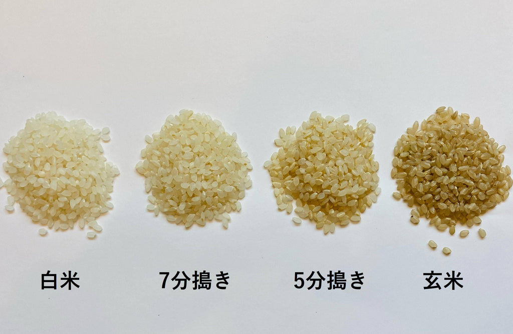 もっちり食感に目覚める2種のお米セット（特別栽培米宮城県産だて正夢1kg　北海道産おぼろづき1kg）–　にほんものストア