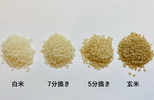 2種のおすすめの米を毎月お届け｜農家さんのサブスク【各1kg×2種類