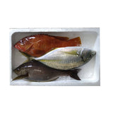 五島列島産　天然高級鮮魚BOX 3kg - にほんものストア